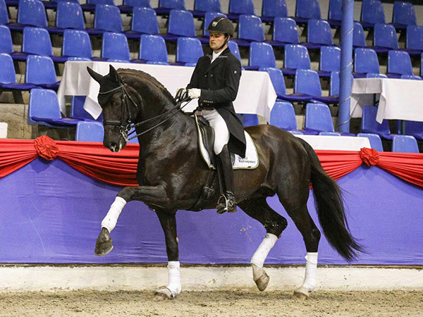 Floricello - Zuchthof Wadenspanner