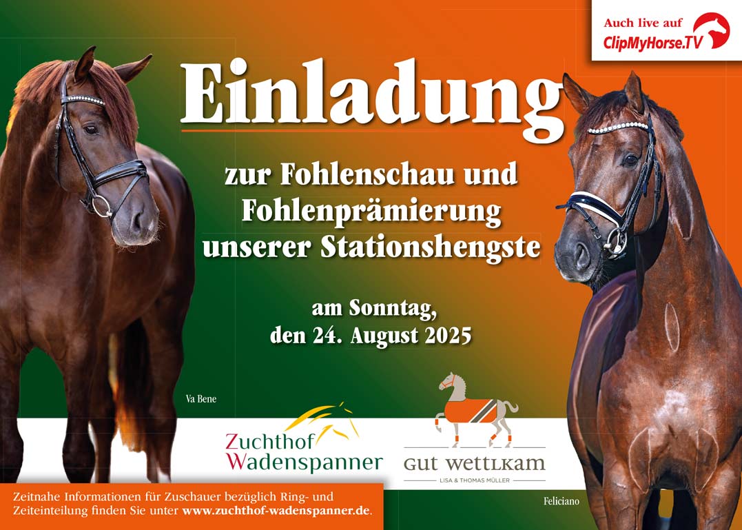 Fohlenschau 2025 - Zuchthof Wadenspanner und Gut Wettlkam