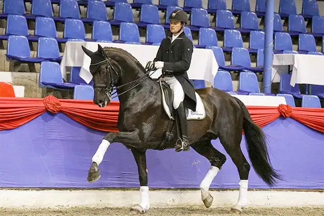 Florencio - Dormello