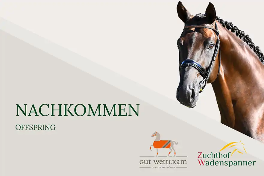 Nachkommen offspring Video