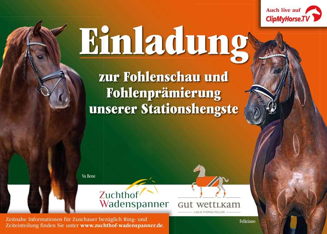 Einladung zum Fohlenchampionat des Zuchthof Wadenspanner und des Gut Wettlkam